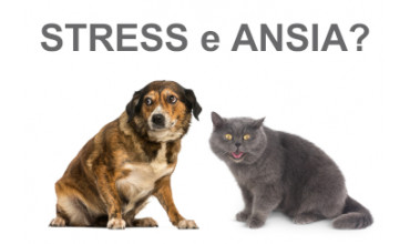 STRESS E ANSIA NELL'ANIMALE